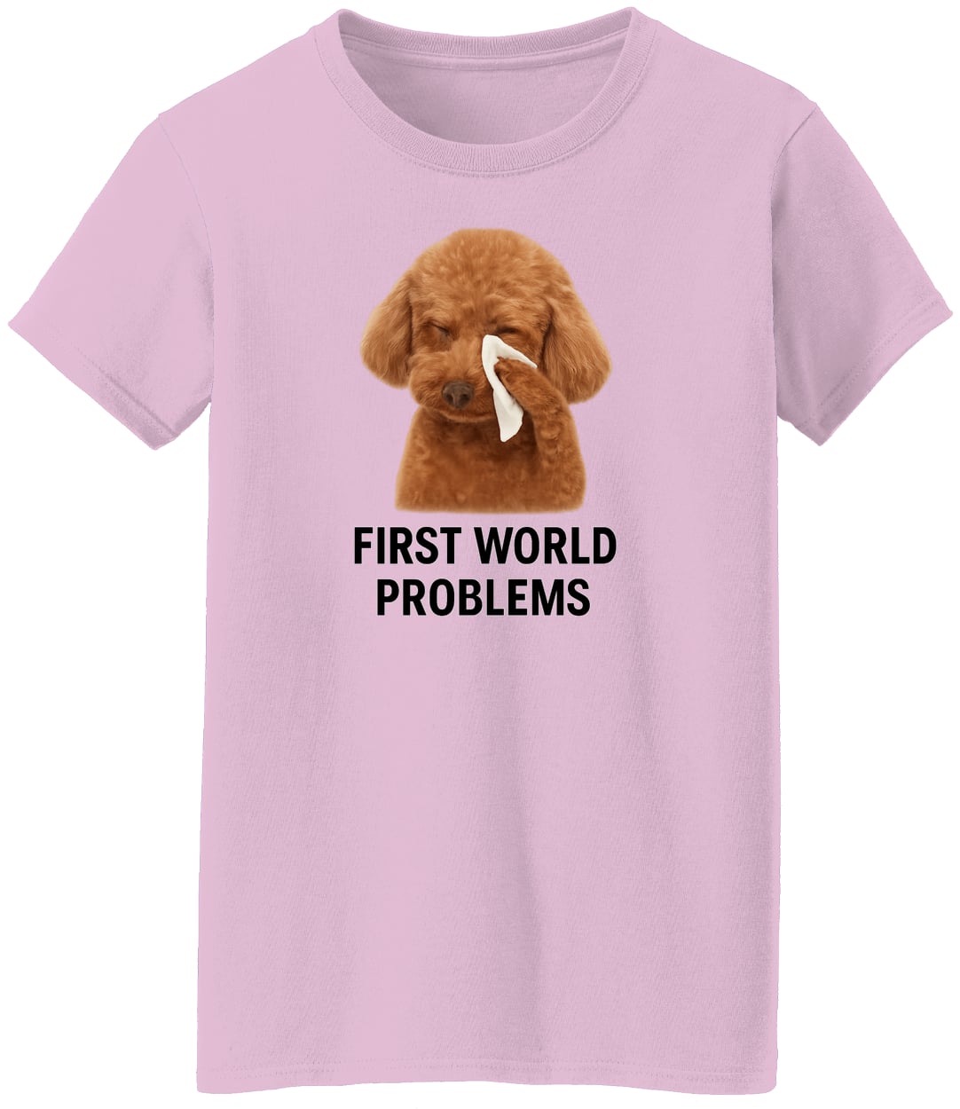 G500L Ladies' 5.3 oz. T-Shirt - Light Pink