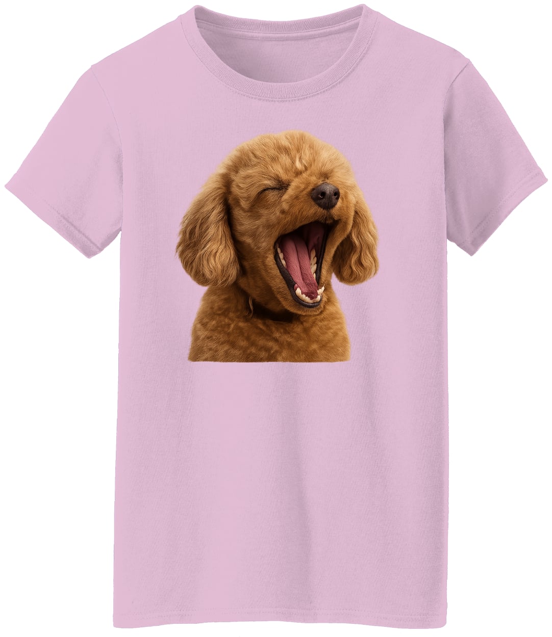 G500L Ladies' 5.3 oz. T-Shirt - Light Pink