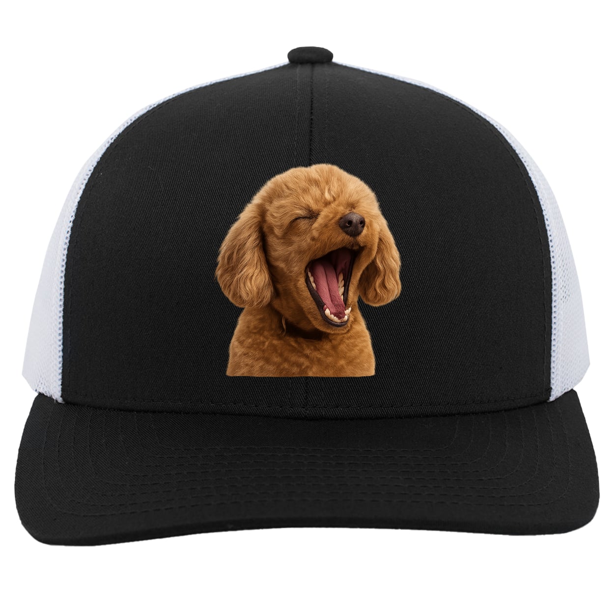 104C Trucker Snap Back - Black/White