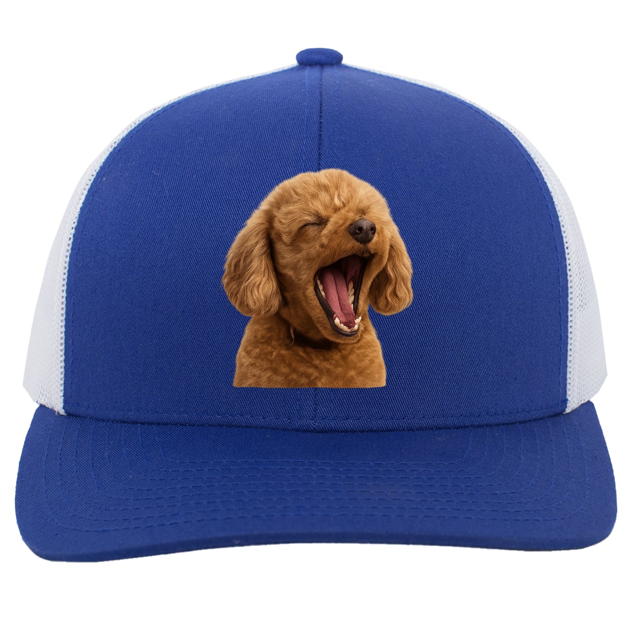 104C Trucker Snap Back - Royal/White