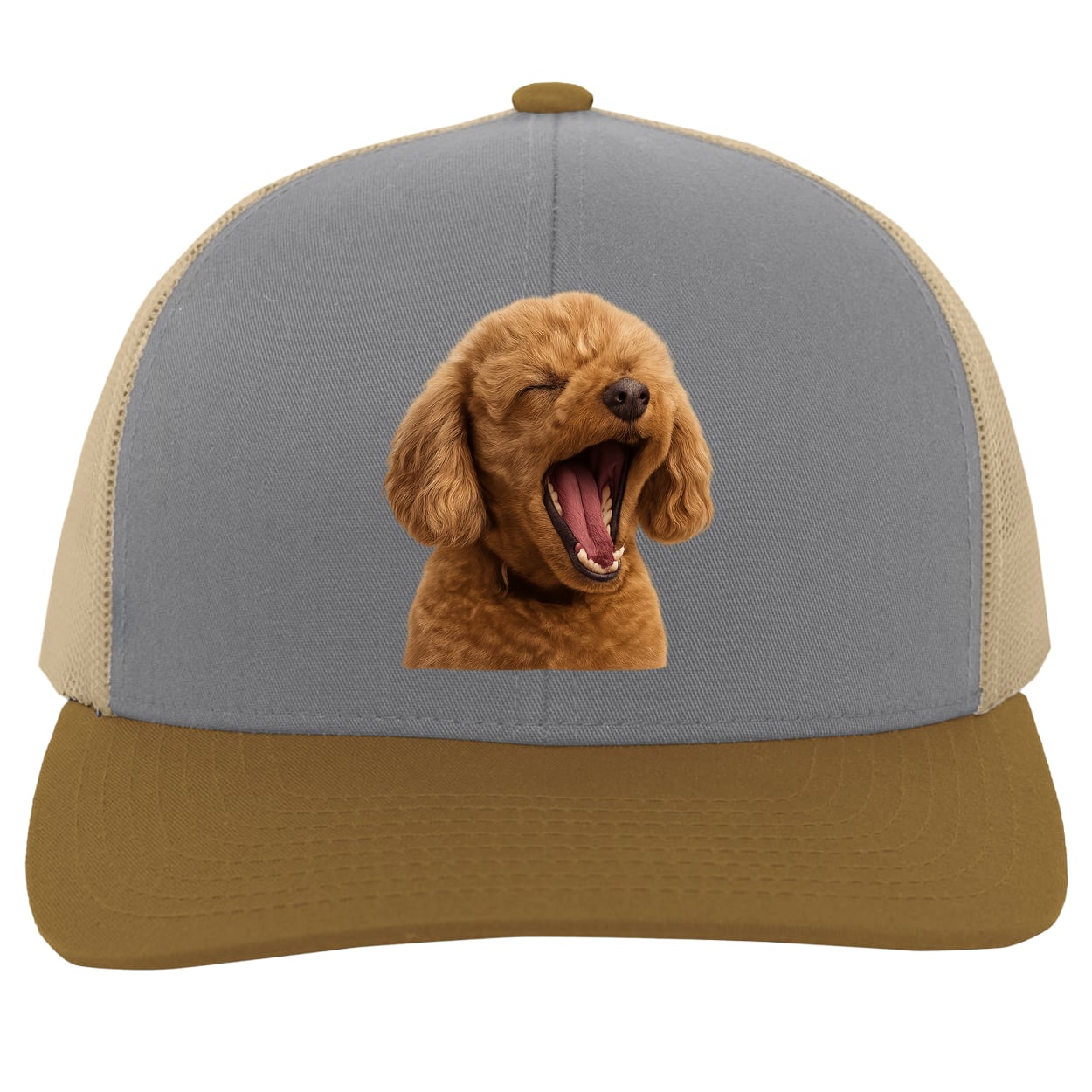 104C Trucker Snap Back - Heather/Beige/Amber