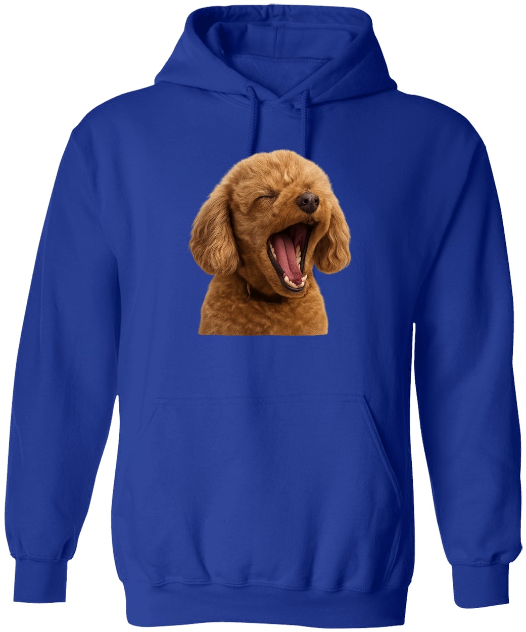 G185 Gildan Pullover Hoodie - Royal