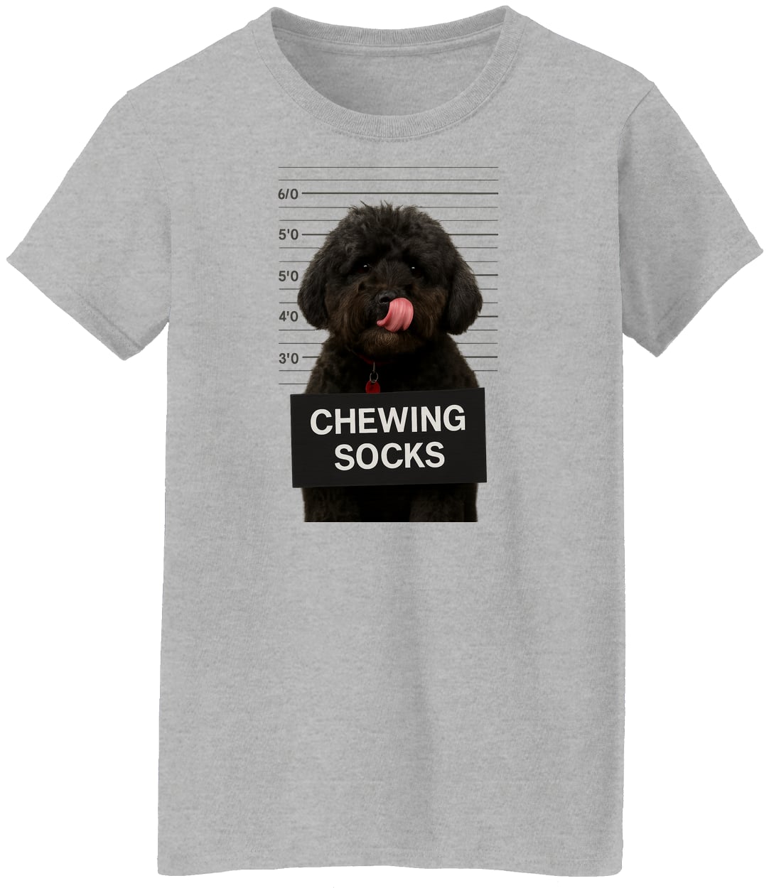 G500L Ladies' 5.3 oz. T-Shirt - Sport Grey
