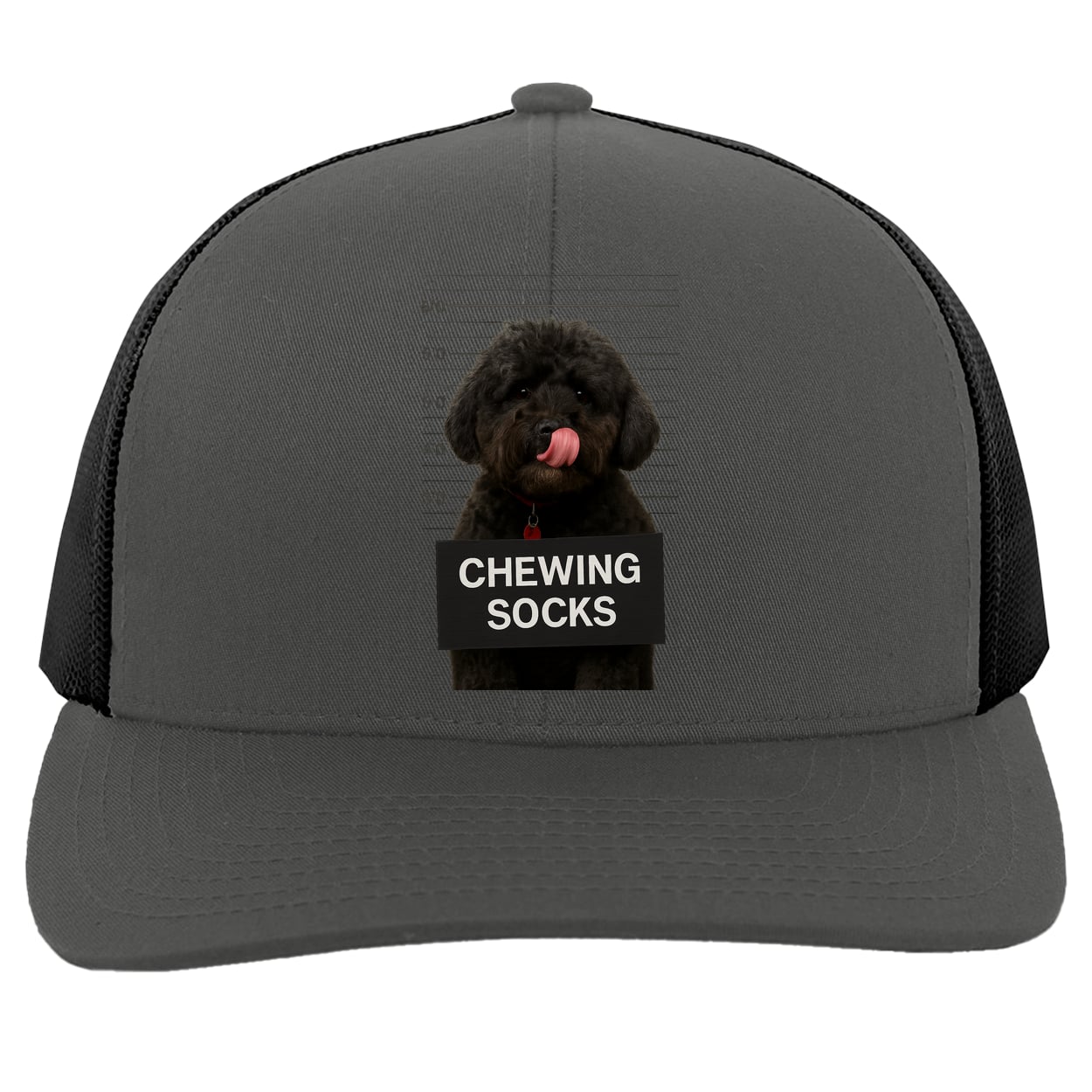 104C Trucker Snap Back - Graphite/Black