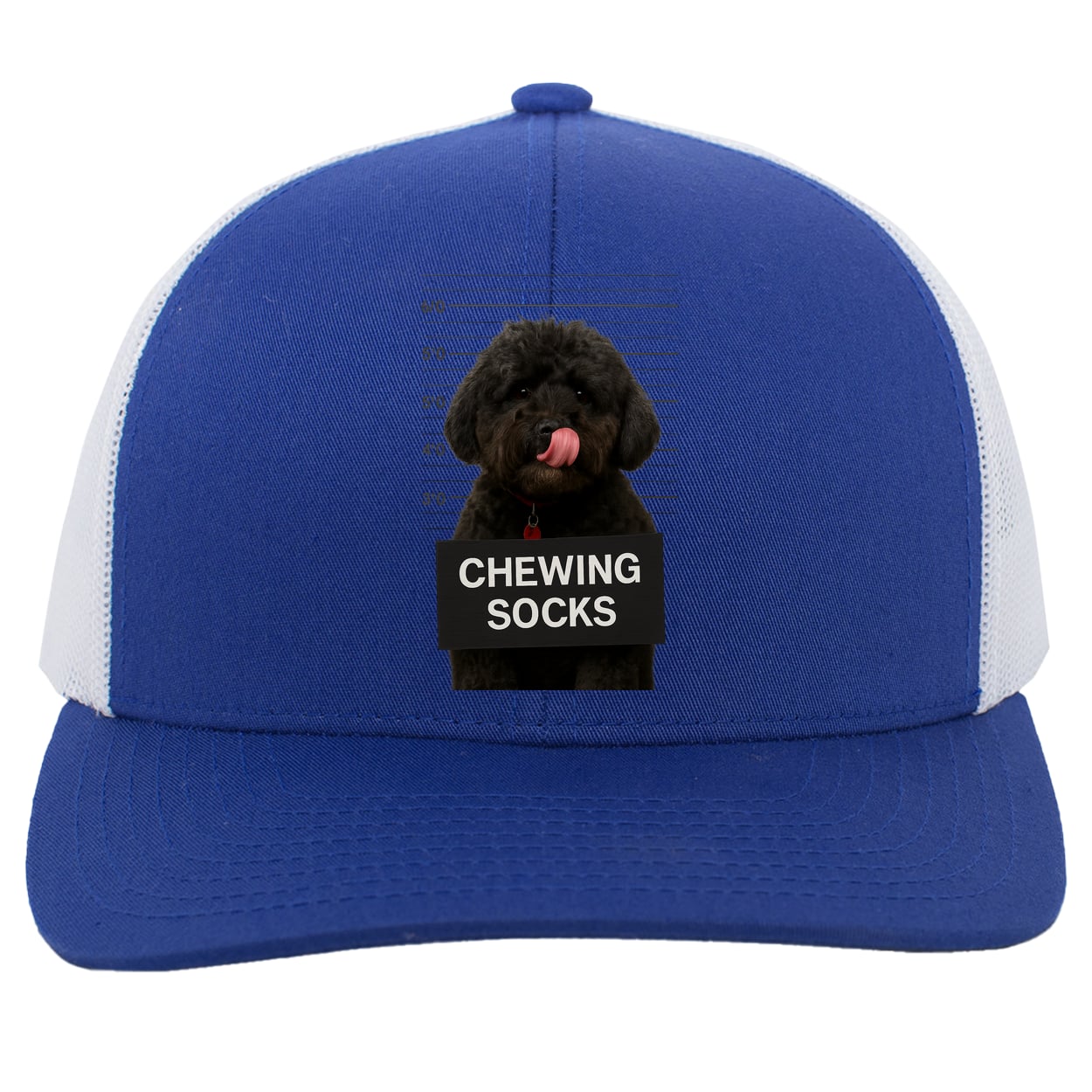 104C Trucker Snap Back - Royal/White