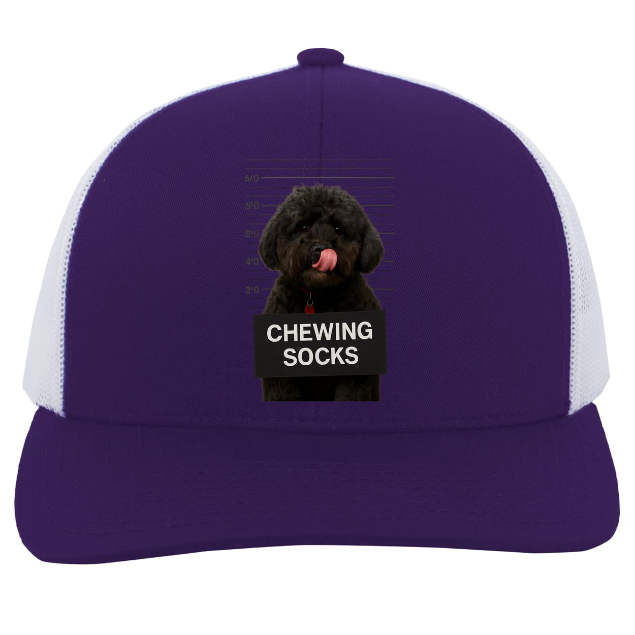 104C Trucker Snap Back - Purple/White
