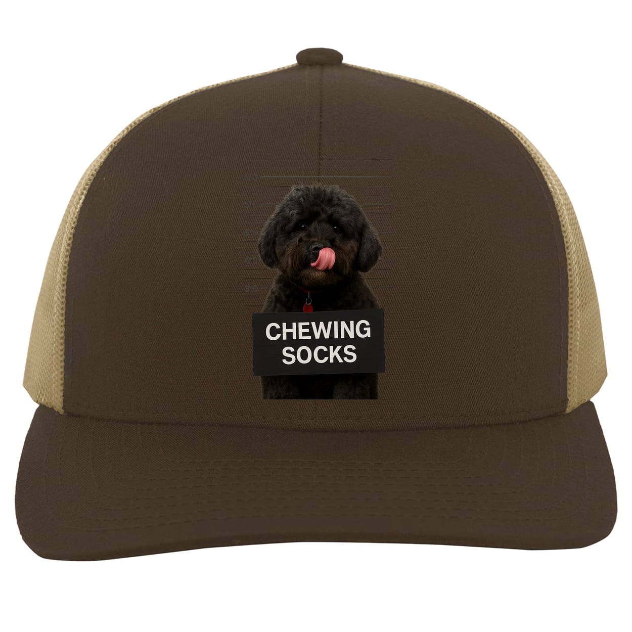104C Trucker Snap Back - Brown/Khaki