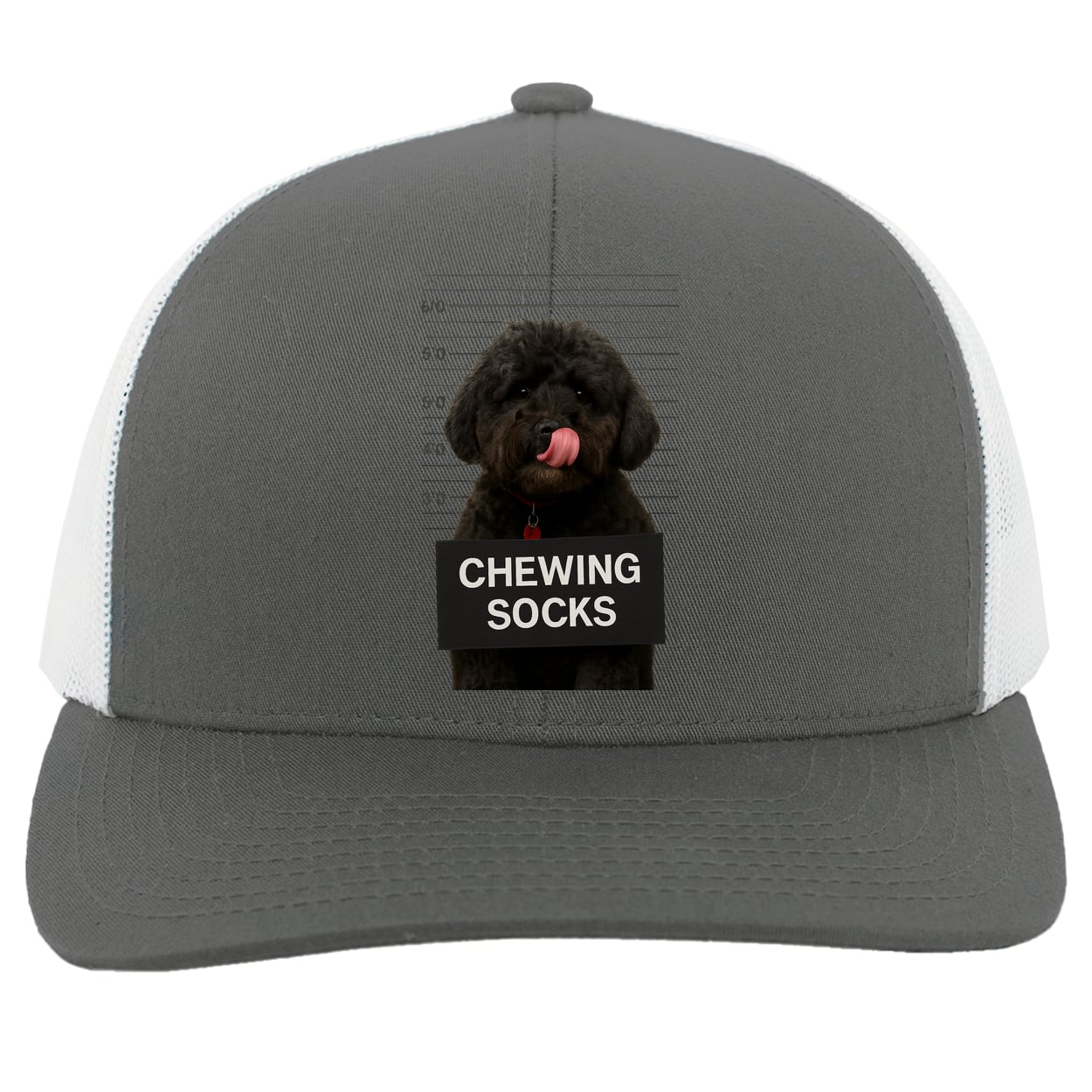 104C Trucker Snap Back - Graphite/White