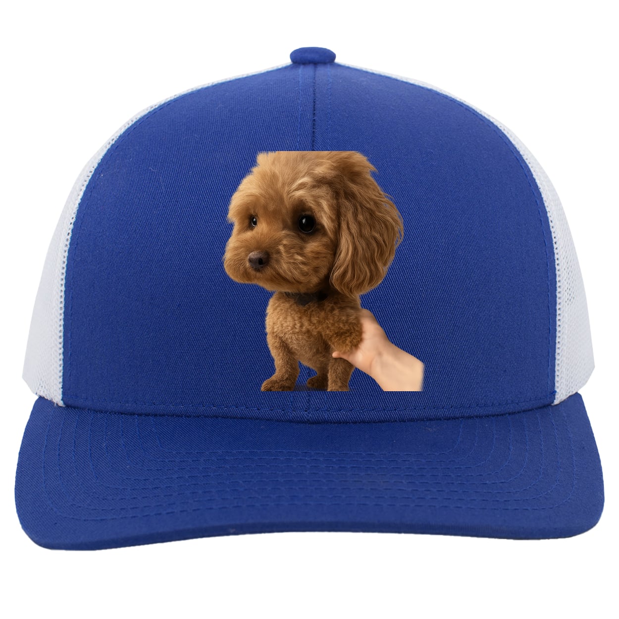 104C Trucker Snap Back - Royal/White