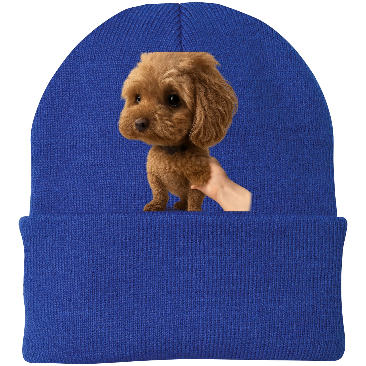 CP90 Port & Company Knit Beanie - Athletic Royal