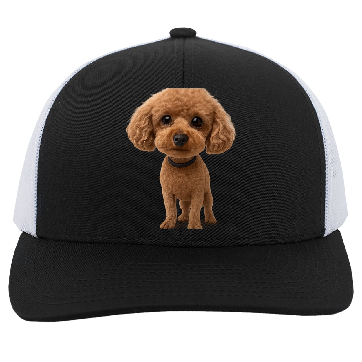 104C Trucker Snap Back - Black/White