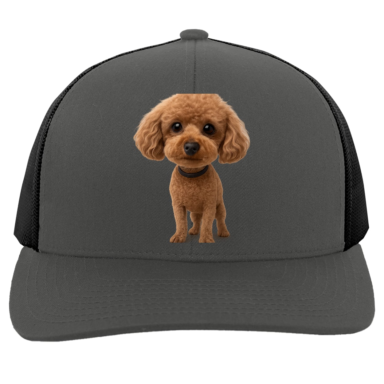 104C Trucker Snap Back - Graphite/Black