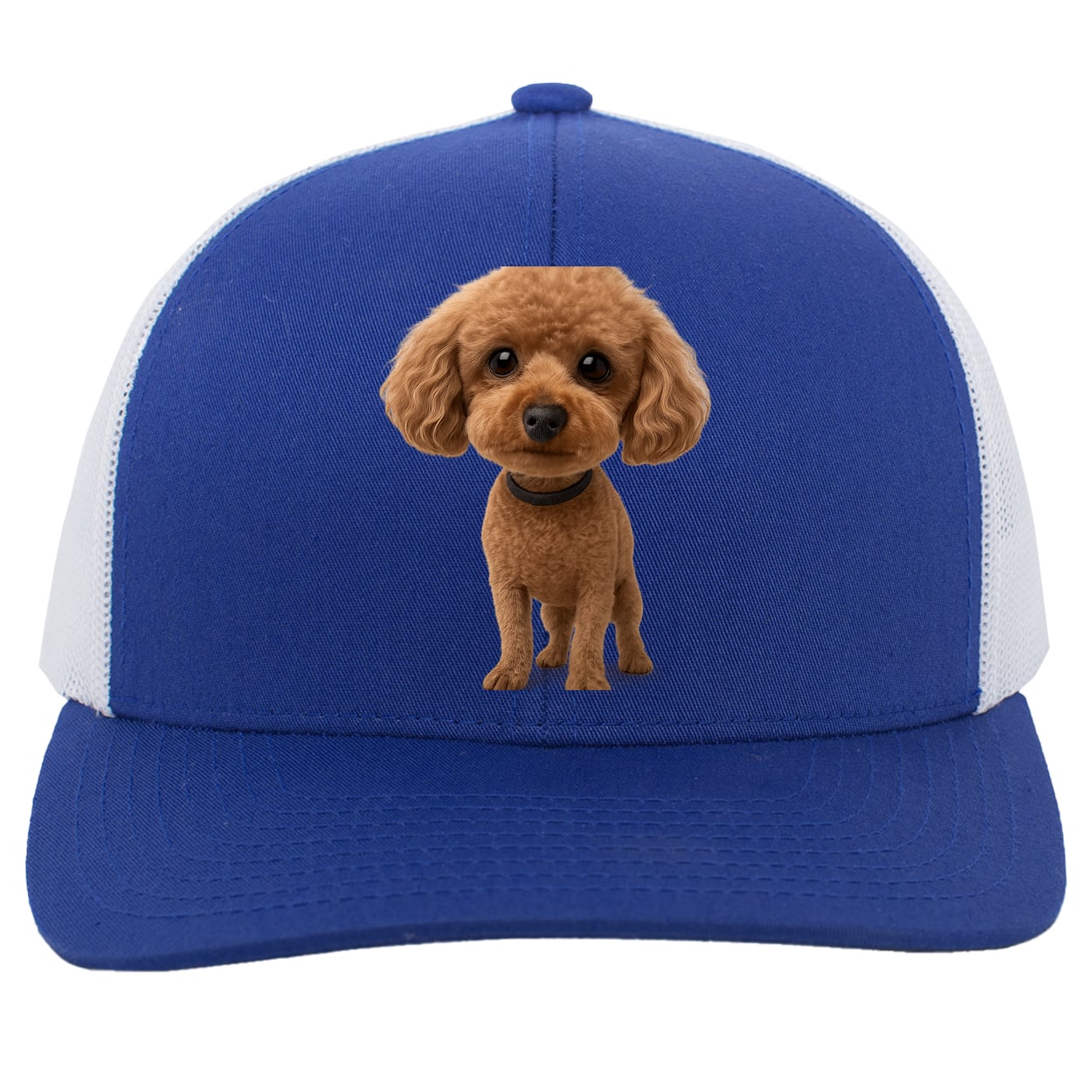 104C Trucker Snap Back - Royal/White