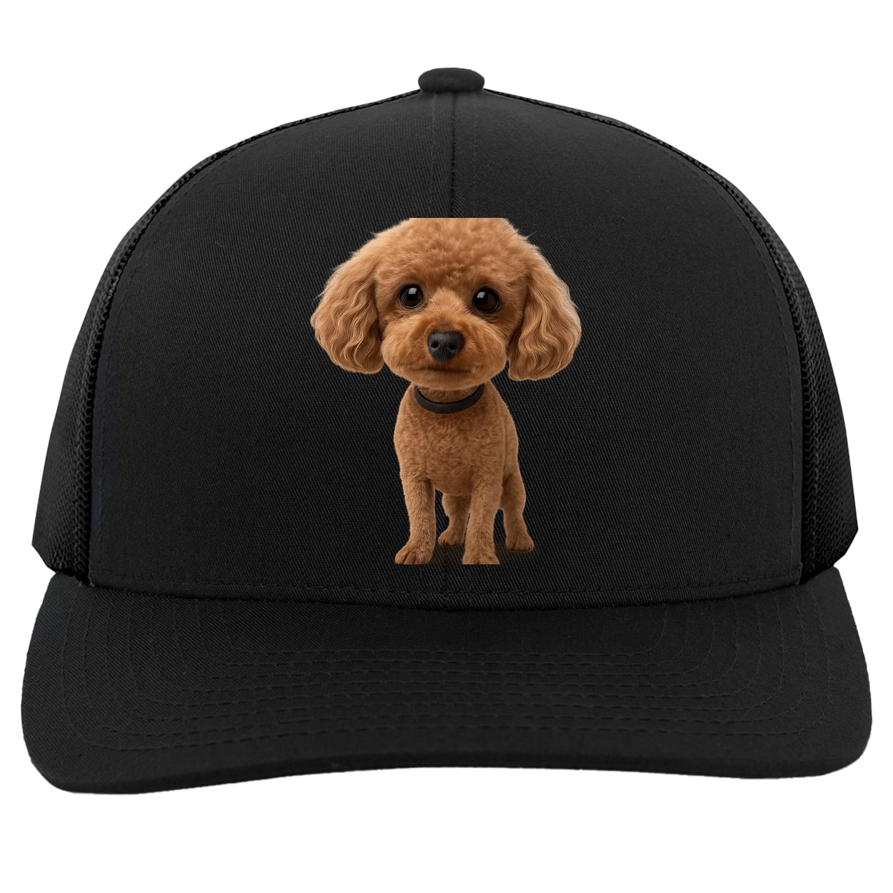 104C Trucker Snap Back - Black