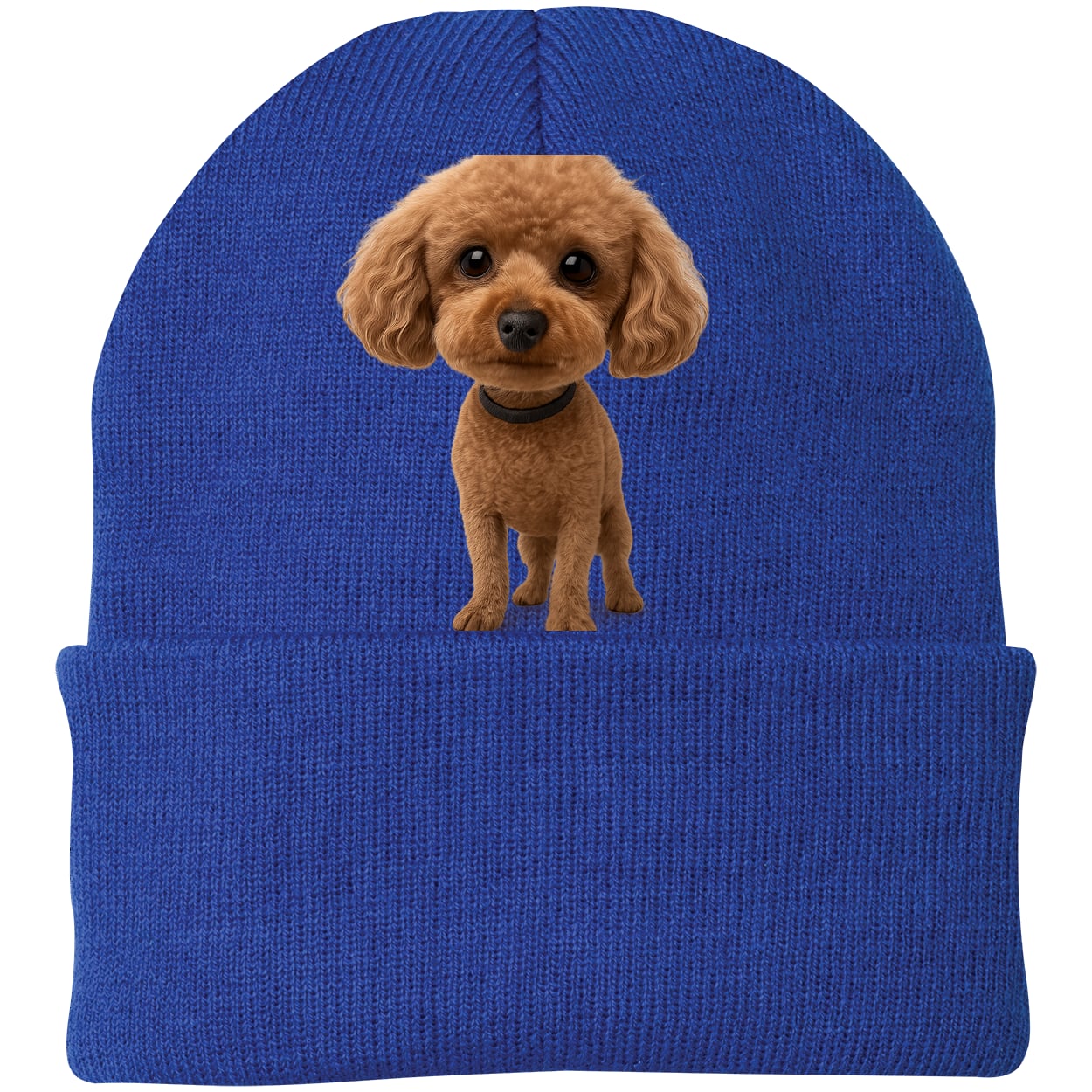 CP90 Port & Company Knit Beanie - Athletic Royal