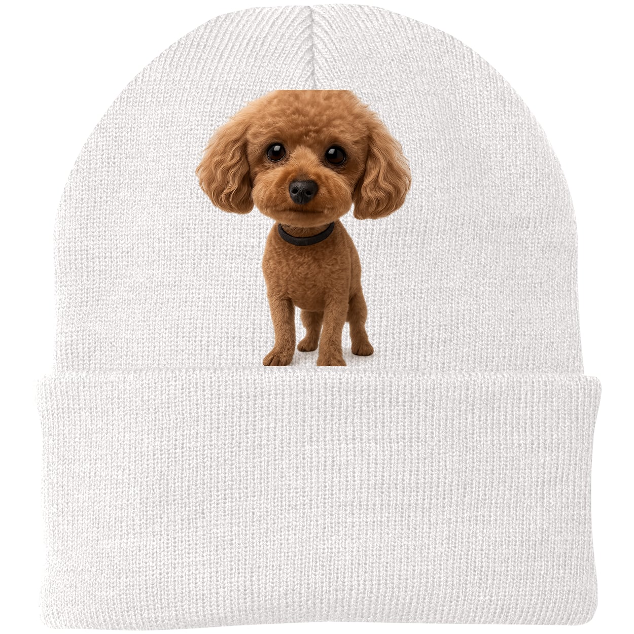 CP90 Port & Company Knit Beanie - White