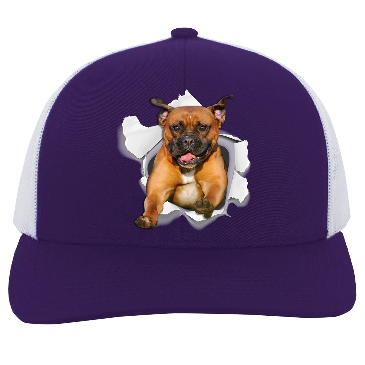 104C Trucker Snap Back - Purple/White