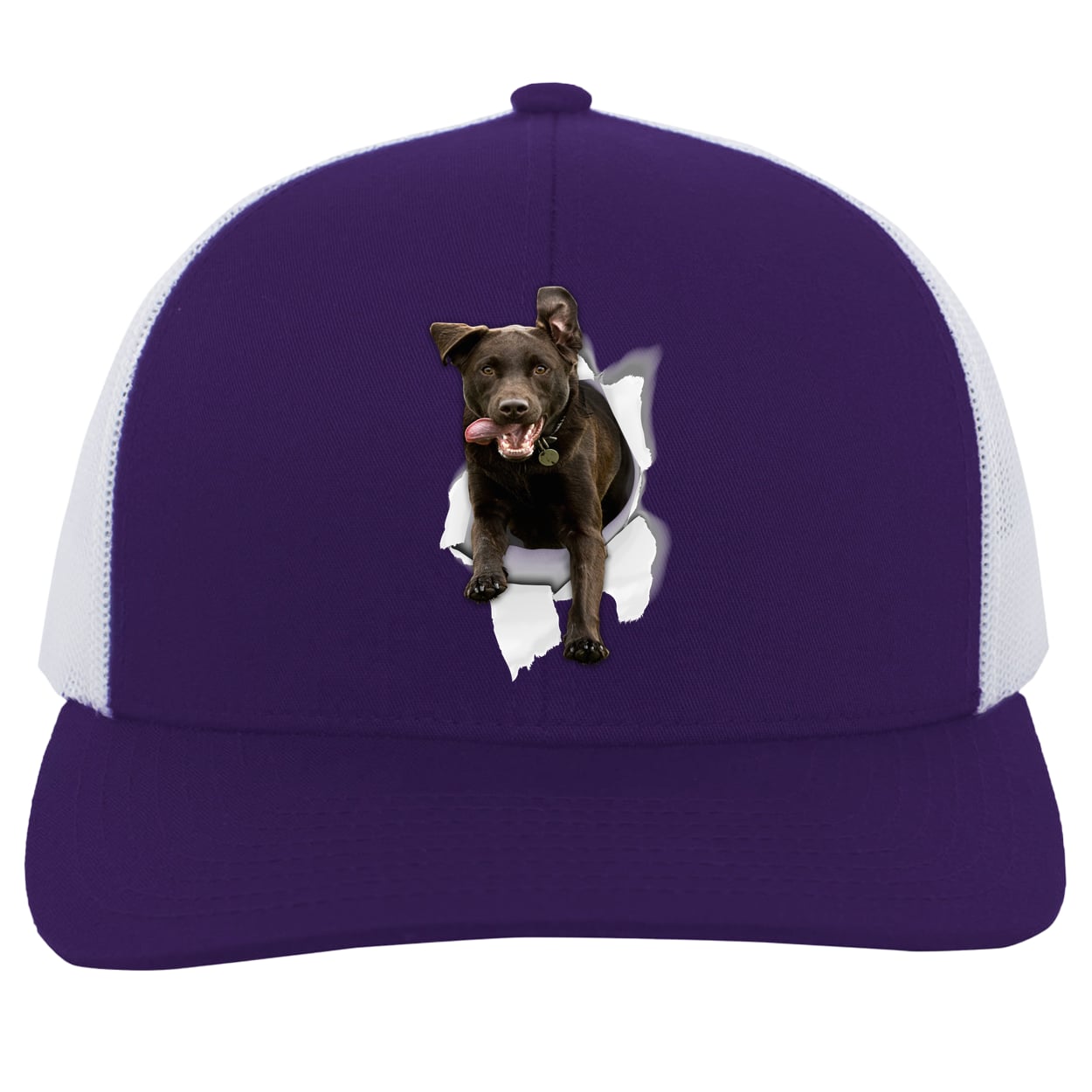 104C Trucker Snap Back - Purple/White