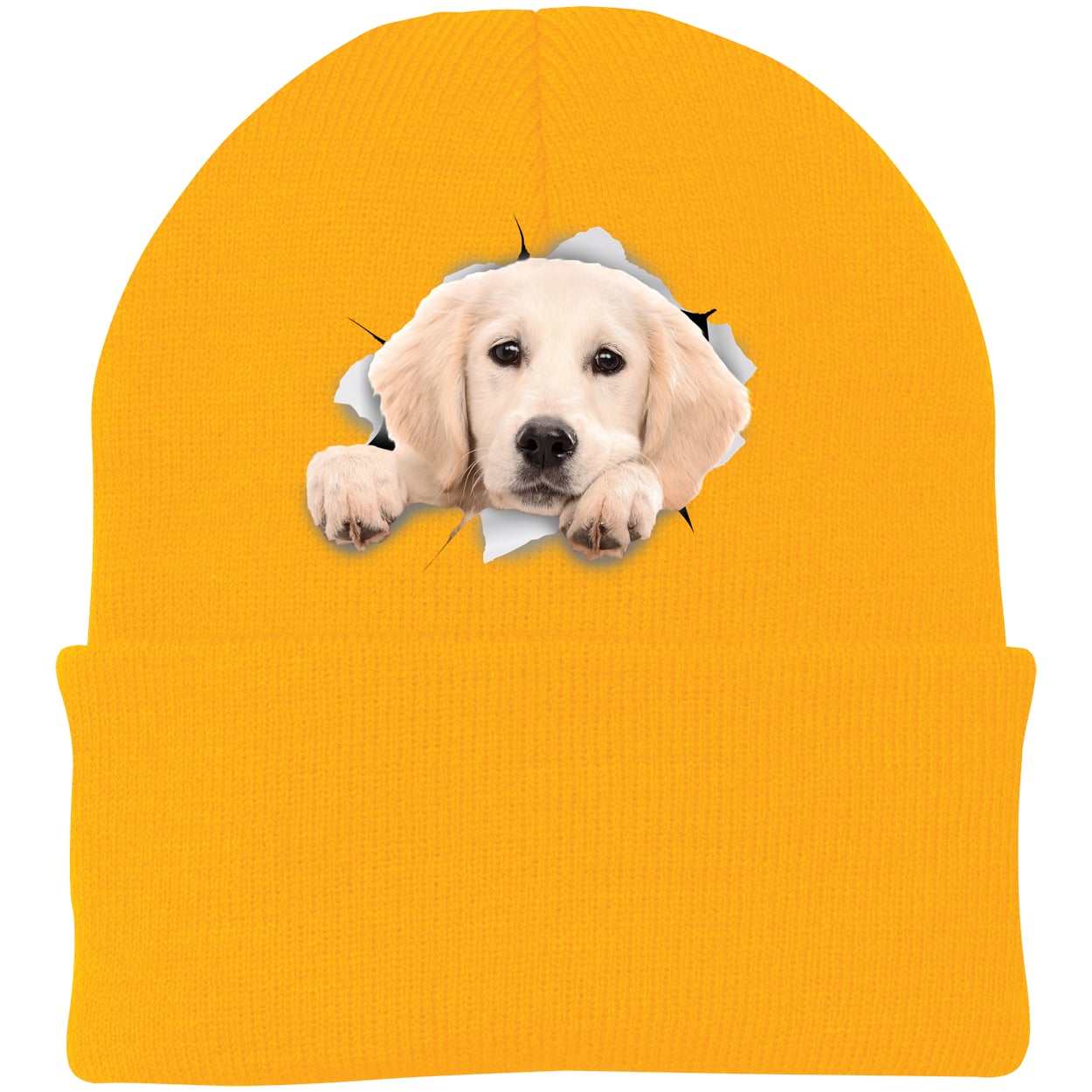 CP90 Port & Company Knit Beanie - Athletic Gold