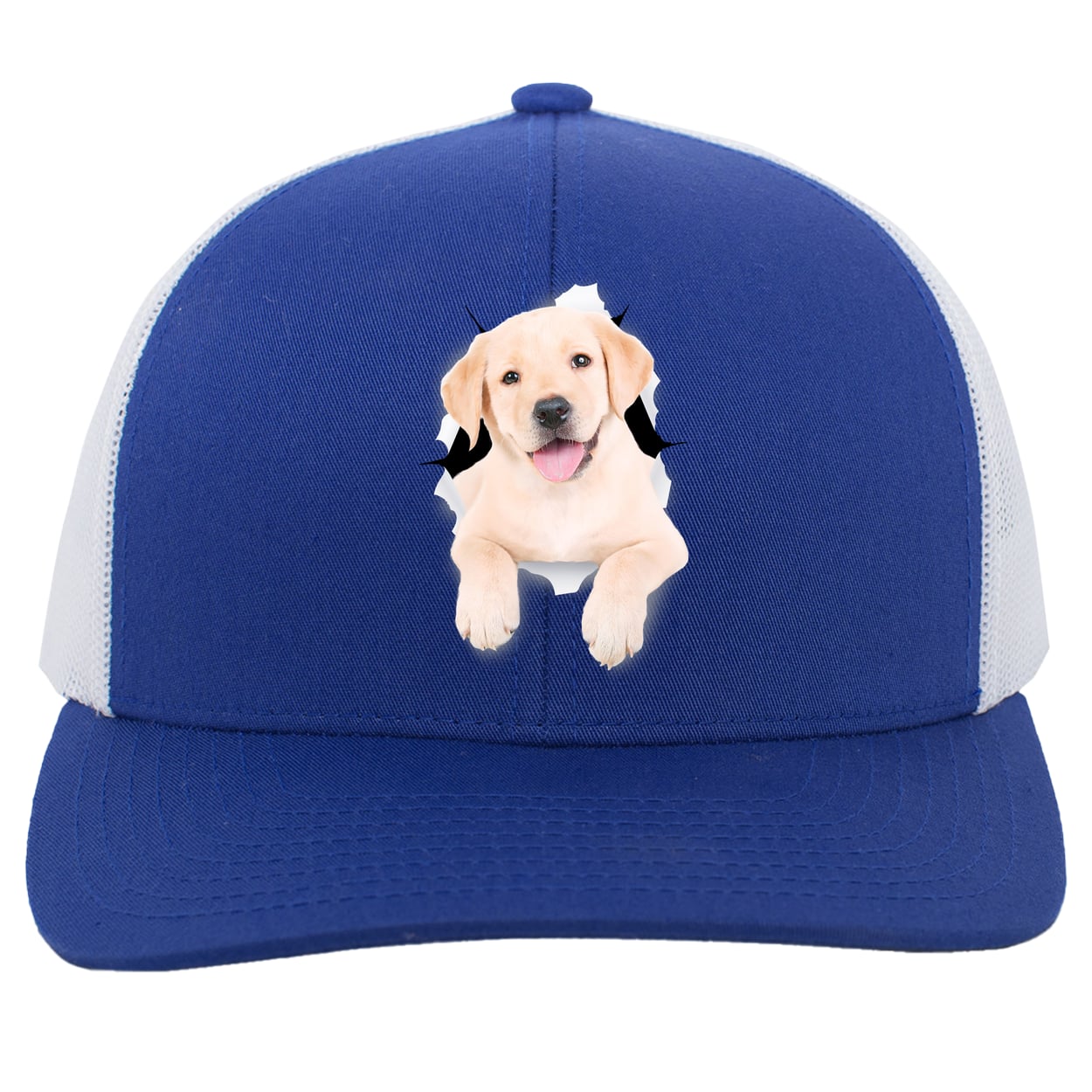 104C Trucker Snap Back - Royal/White