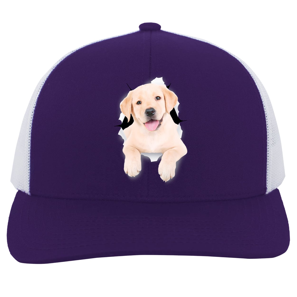104C Trucker Snap Back - Purple/White