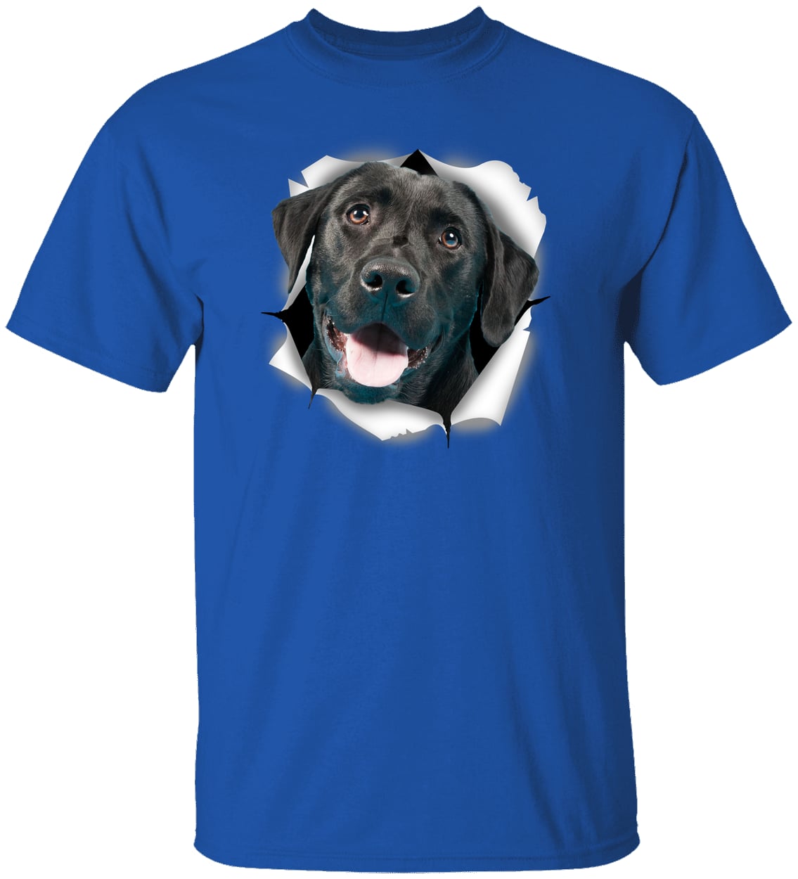 G500 Gildan 5.3 oz. T-Shirt - Royal