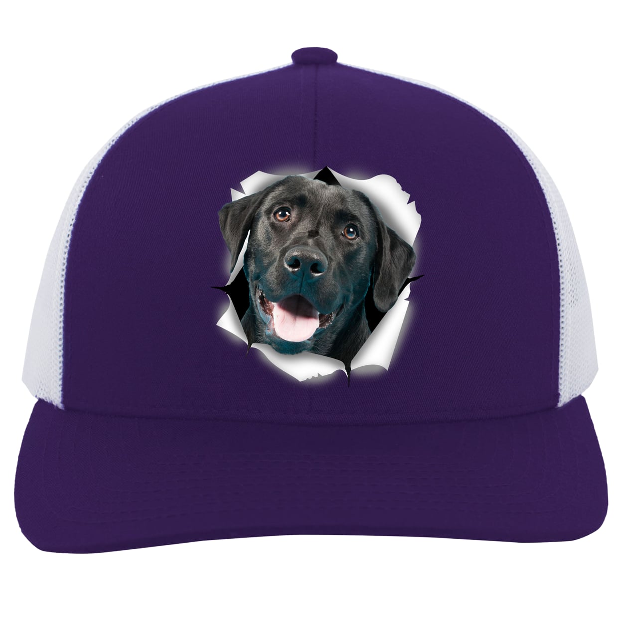 104C Trucker Snap Back - Purple/White