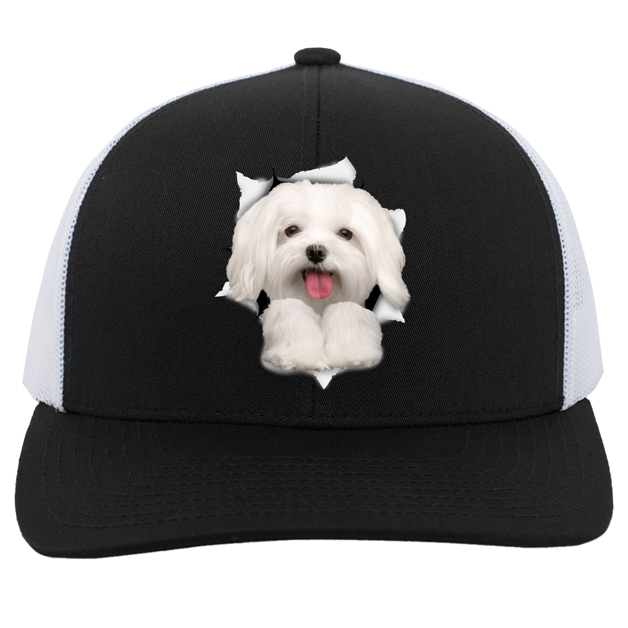 104C Trucker Snap Back - Black/White