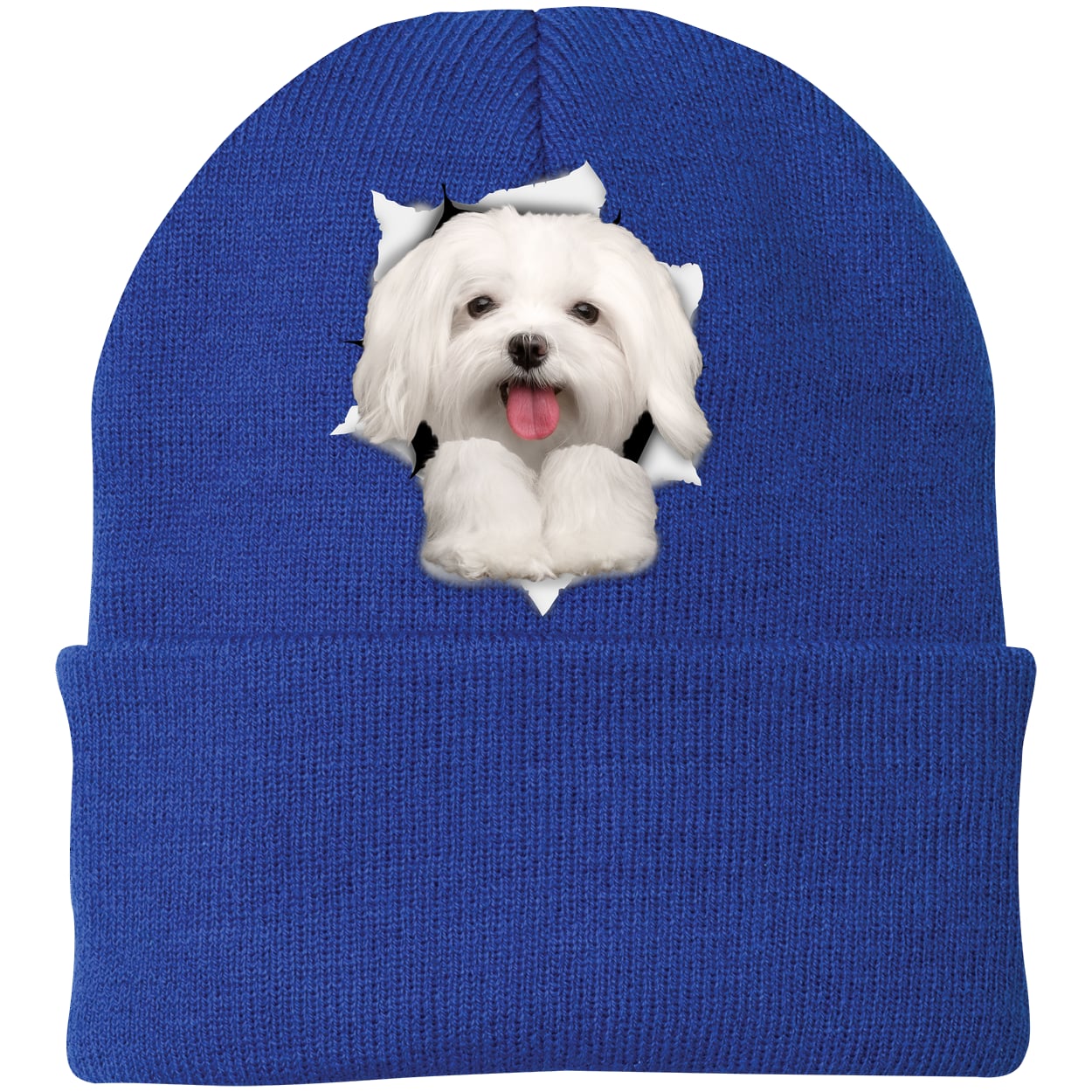 CP90 Port & Company Knit Beanie - Athletic Royal