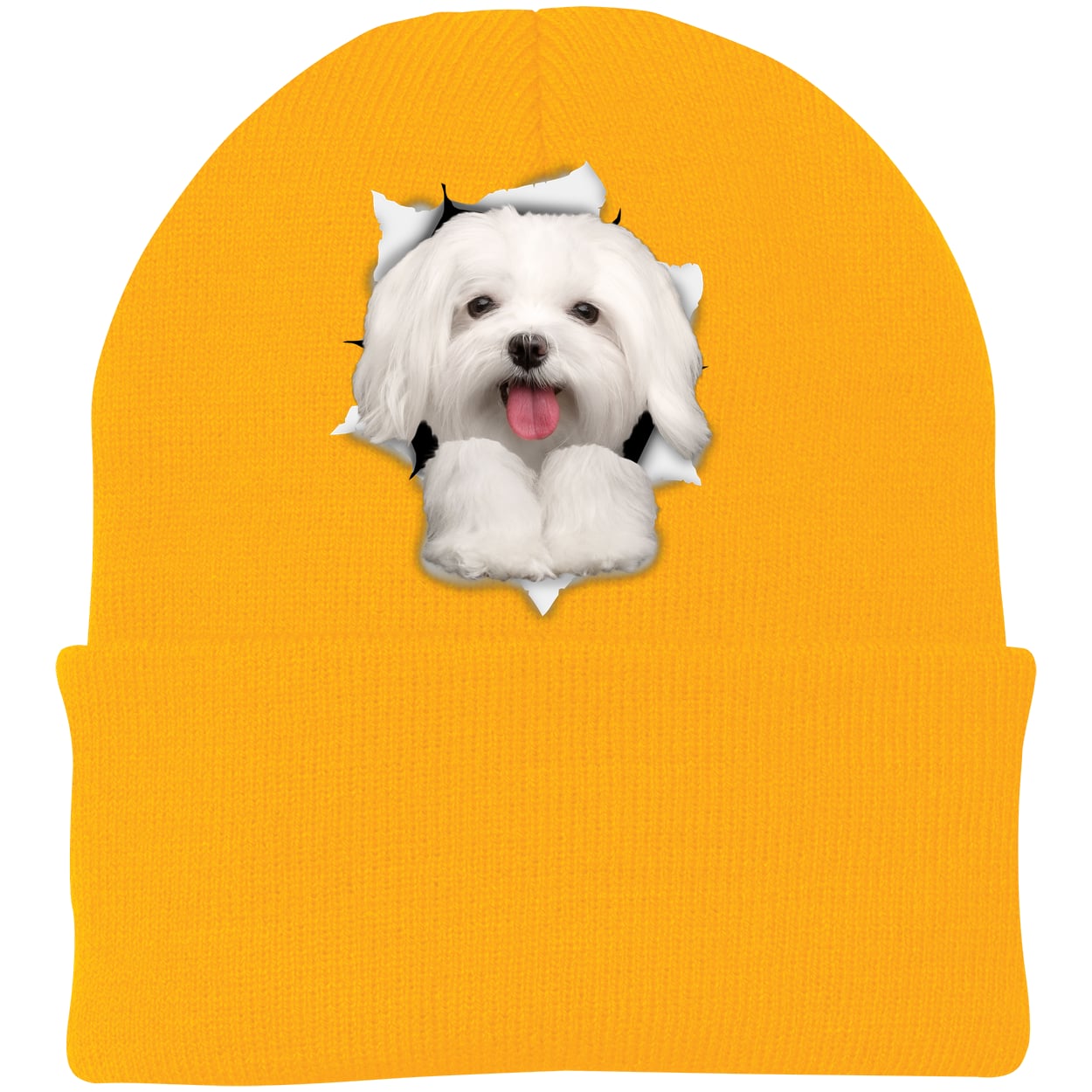 CP90 Port & Company Knit Beanie - Athletic Gold