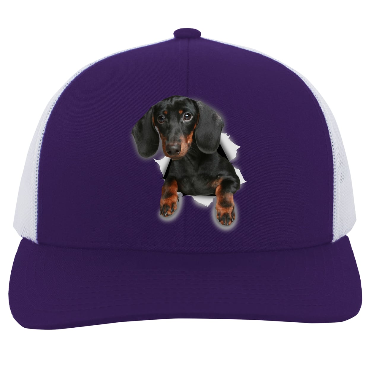 104C Trucker Snap Back - Purple/White
