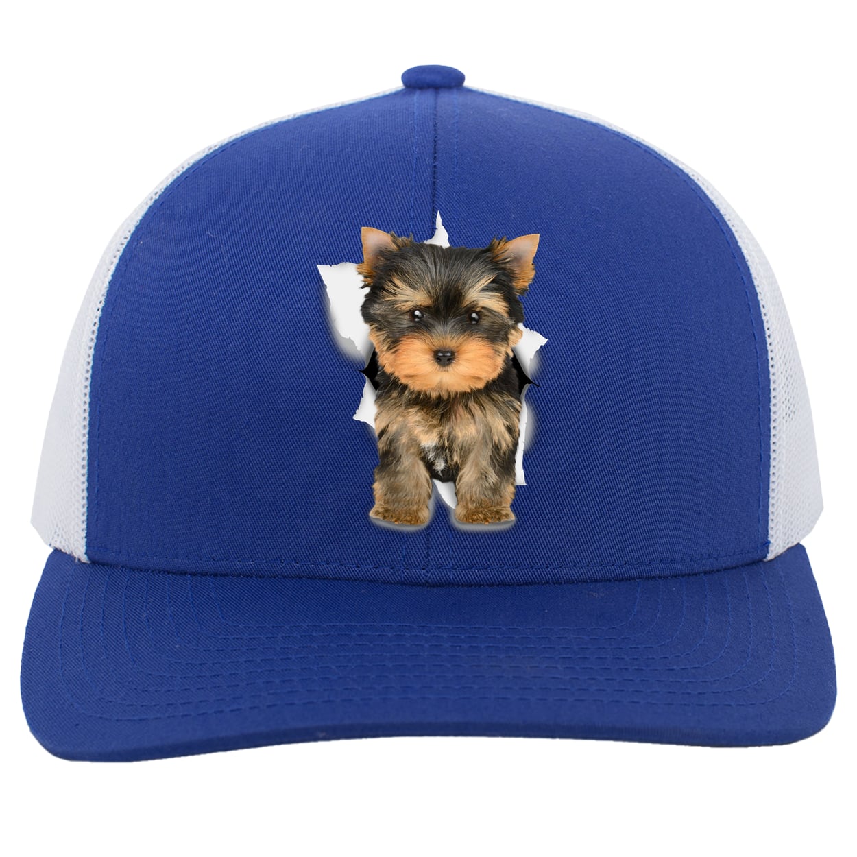 104C Trucker Snap Back - Royal/White