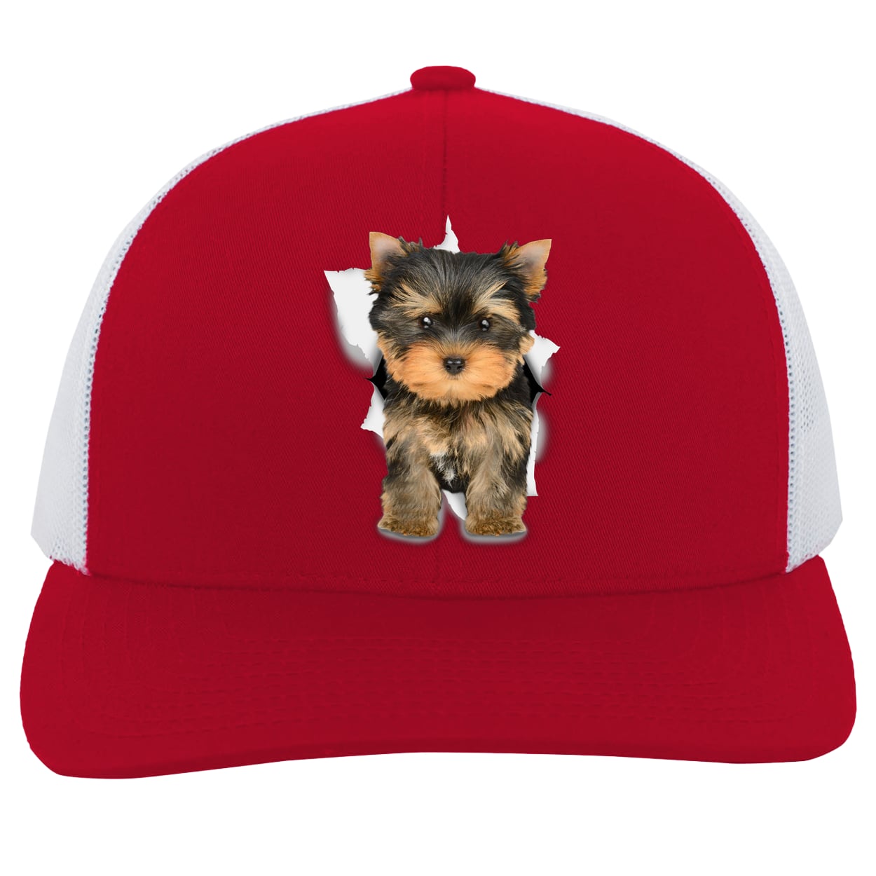 104C Trucker Snap Back - Red/White