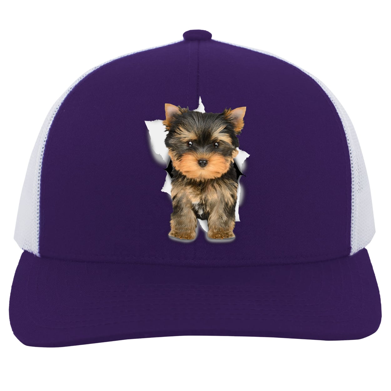 104C Trucker Snap Back - Purple/White