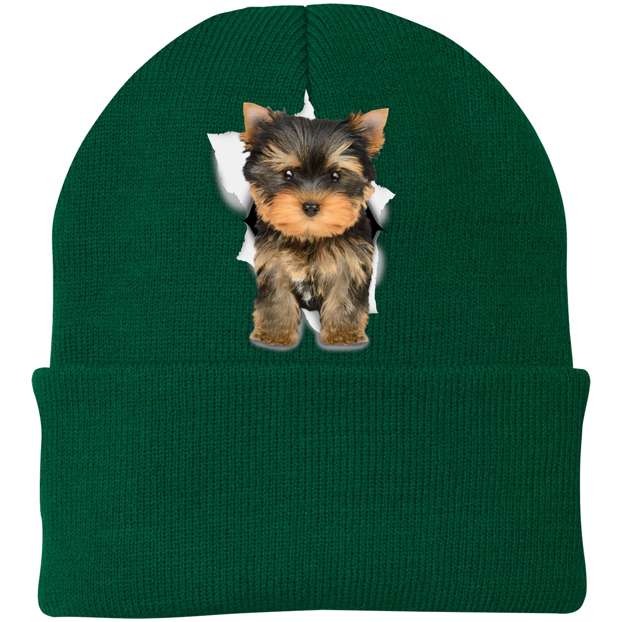 CP90 Port & Company Knit Beanie - Athletic Green