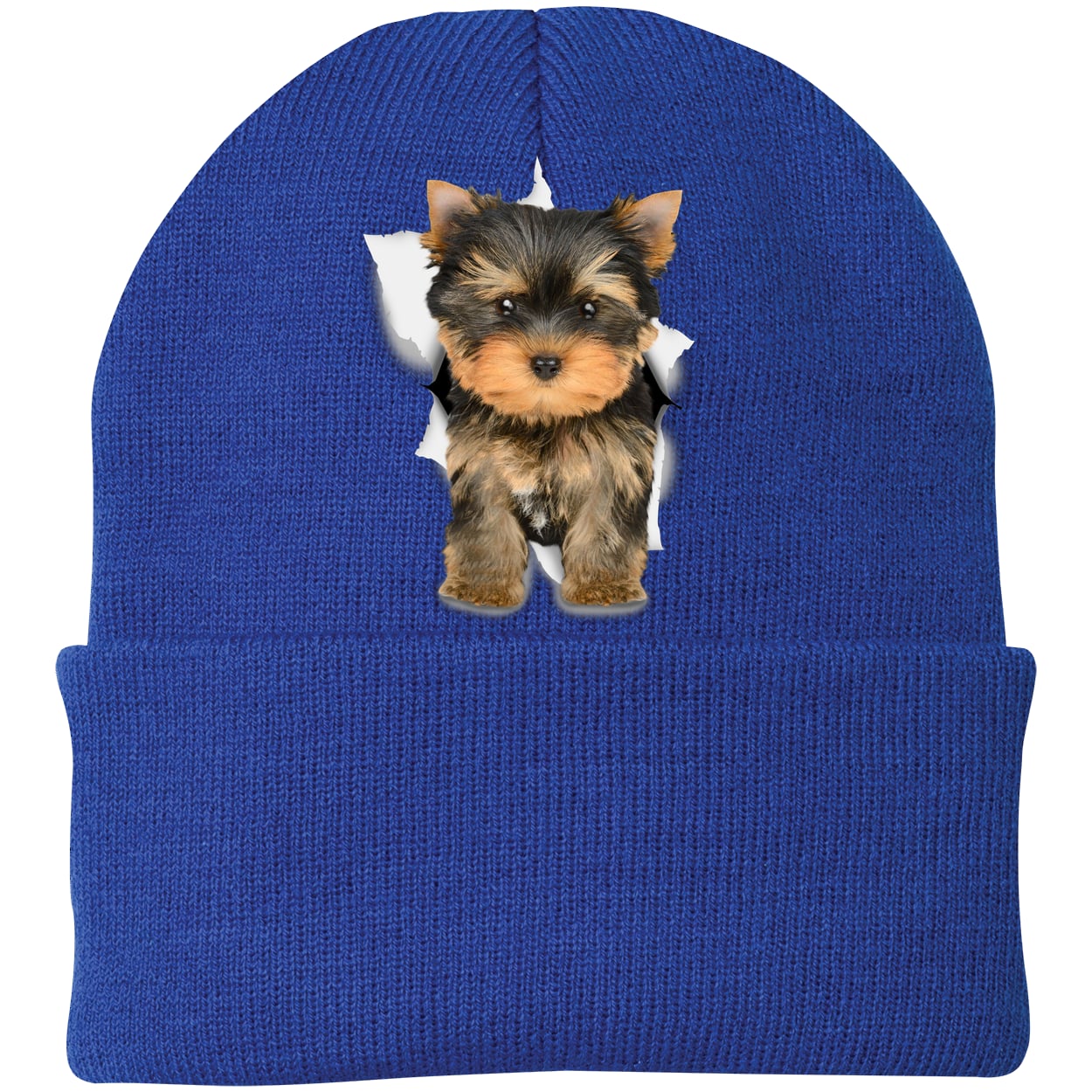 CP90 Port & Company Knit Beanie - Athletic Royal