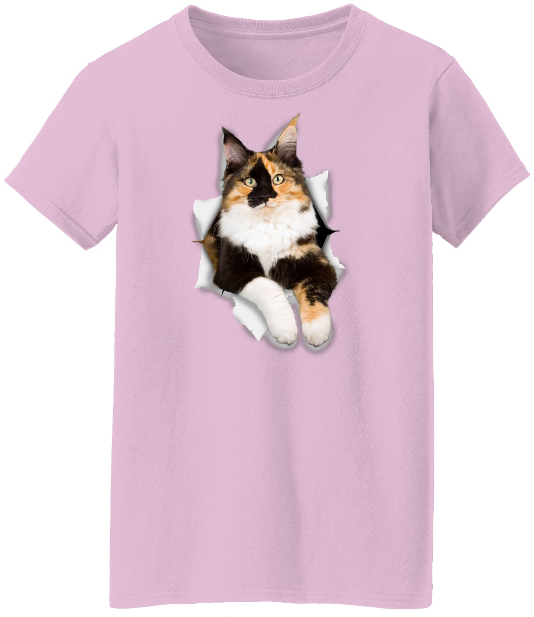 G500L Ladies' 5.3 oz. T-Shirt - Light Pink