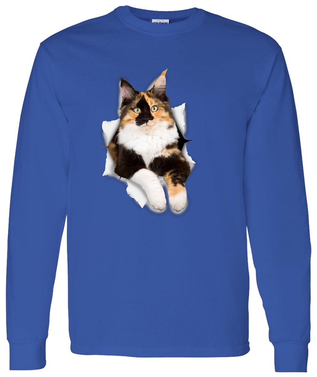 G540 LS T-Shirt 5.3 oz. - Royal