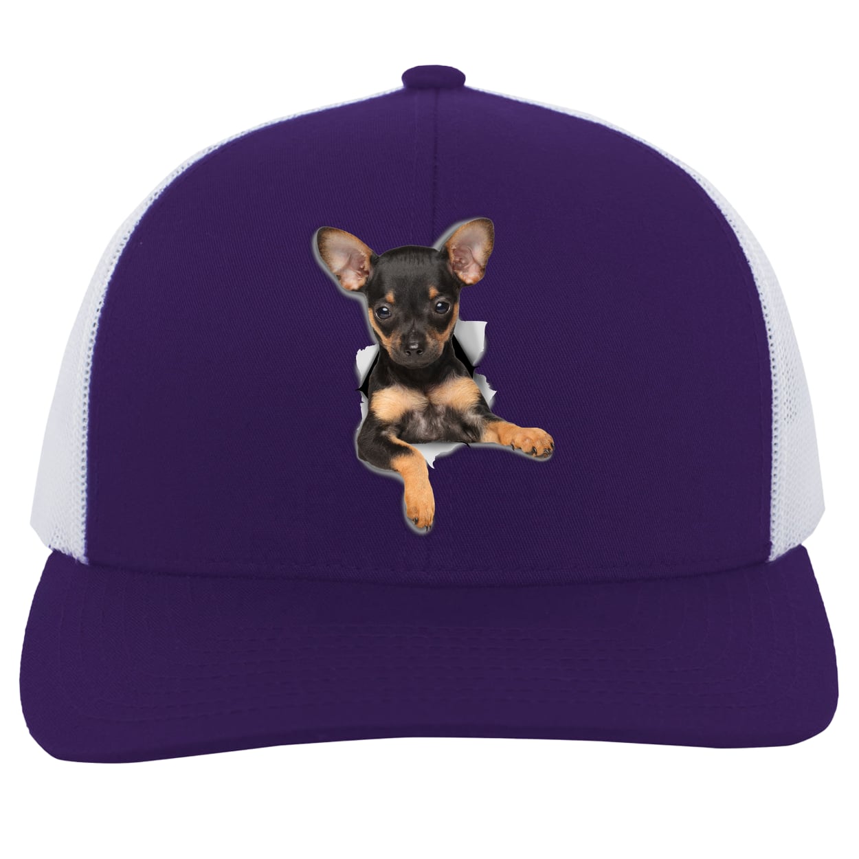 104C Trucker Snap Back - Purple/White