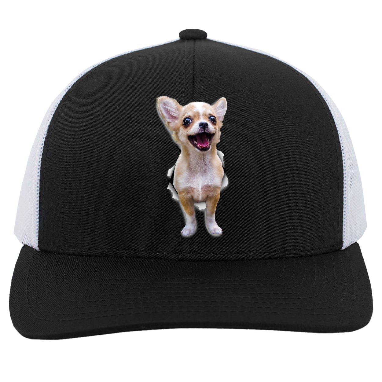104C Trucker Snap Back - Black/White