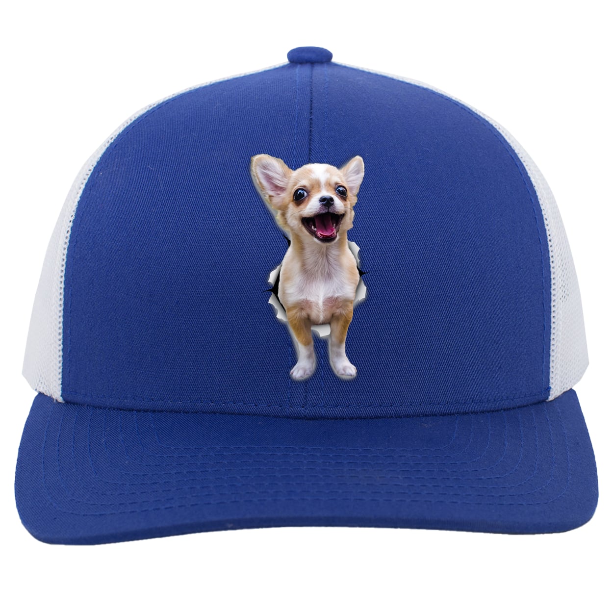 104C Trucker Snap Back - Royal/White