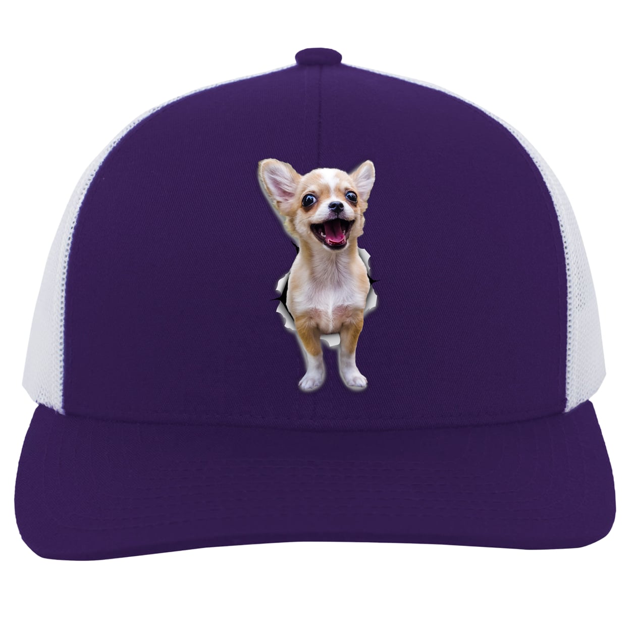 104C Trucker Snap Back - Purple/White