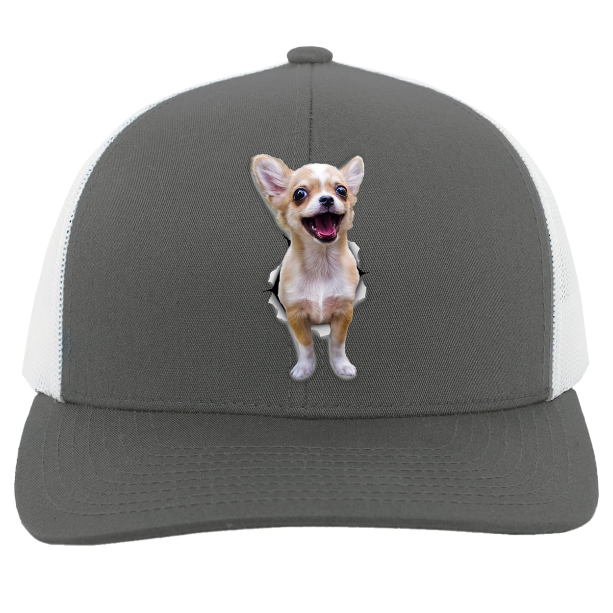104C Trucker Snap Back - Graphite/White