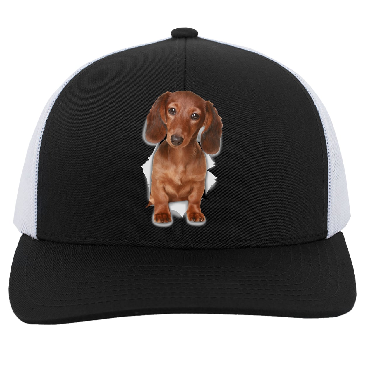 104C Trucker Snap Back - Black/White