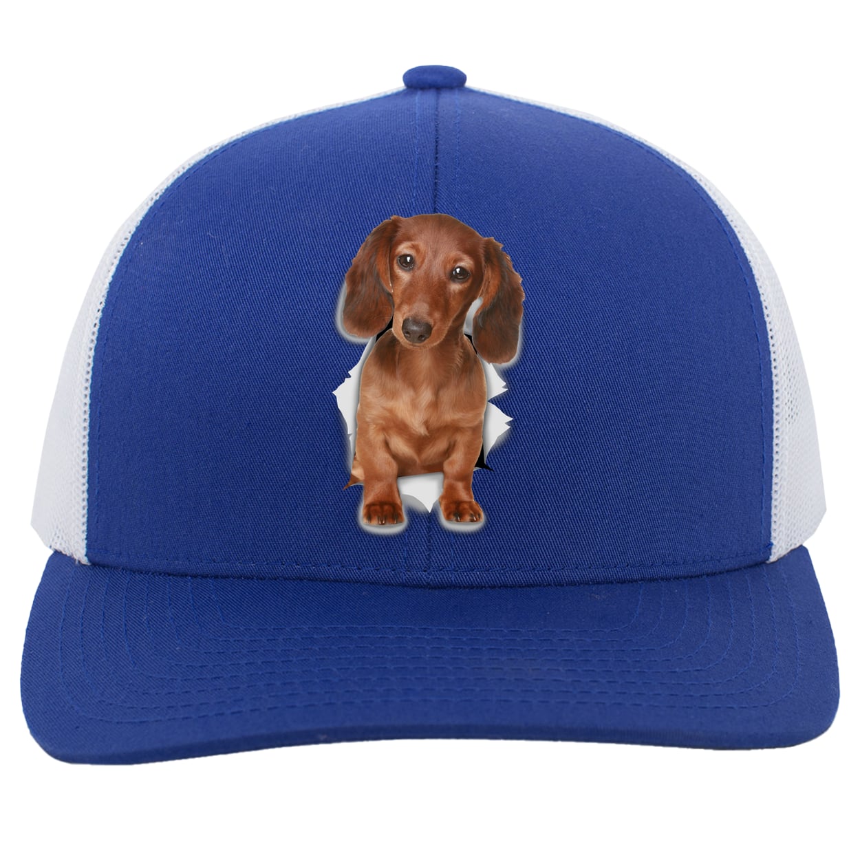 104C Trucker Snap Back - Royal/White