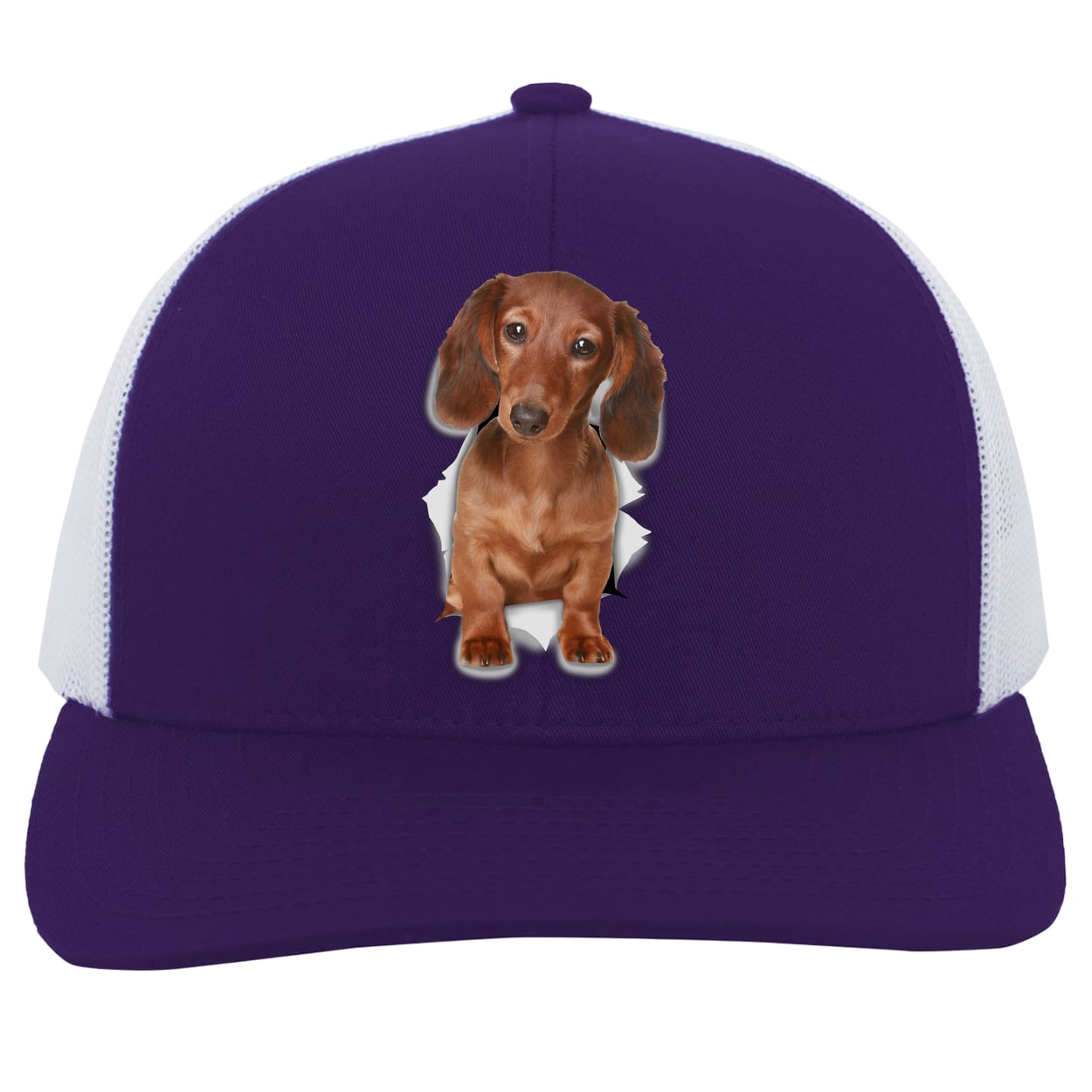 104C Trucker Snap Back - Purple/White