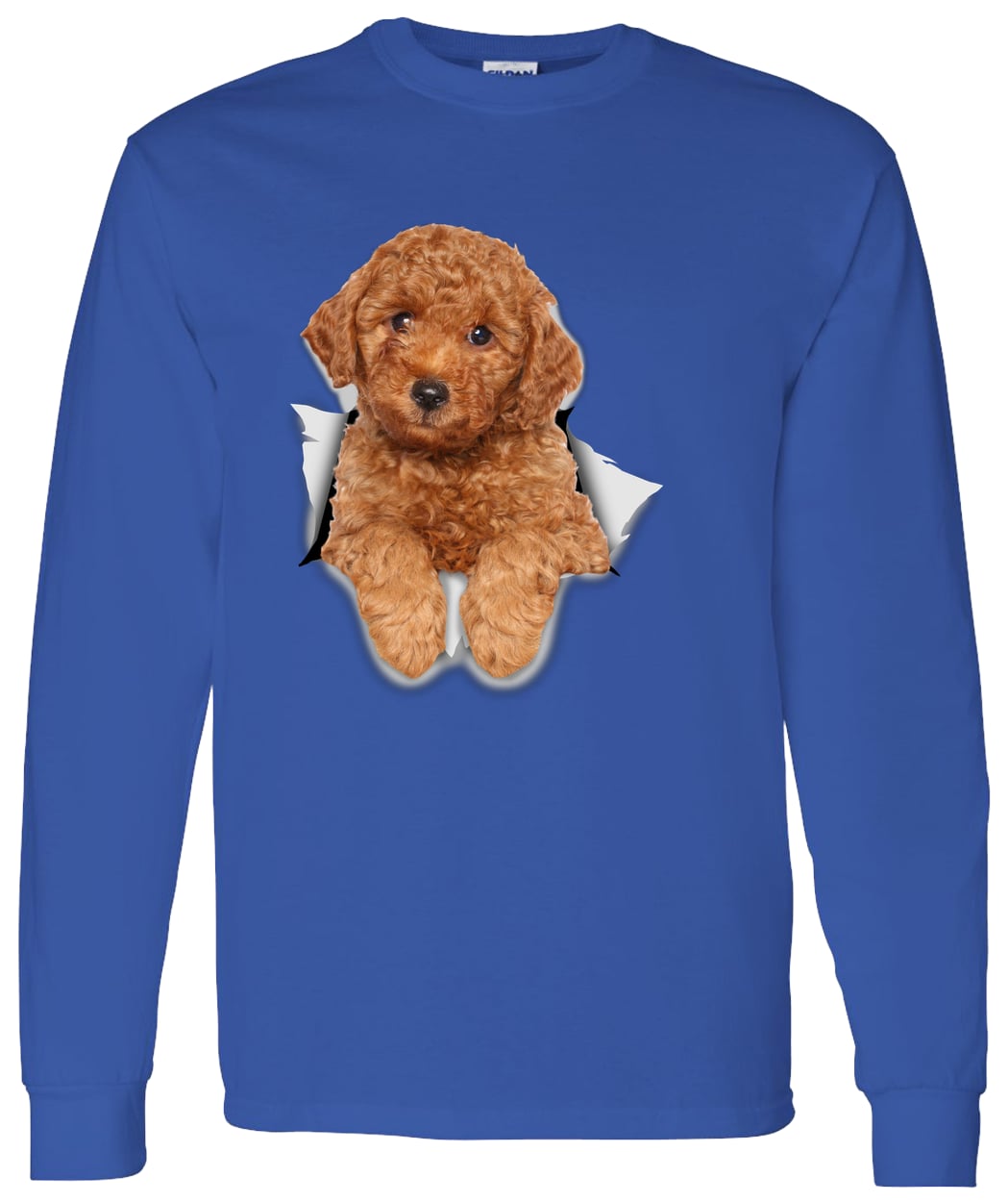 G540 LS T-Shirt 5.3 oz. - Royal
