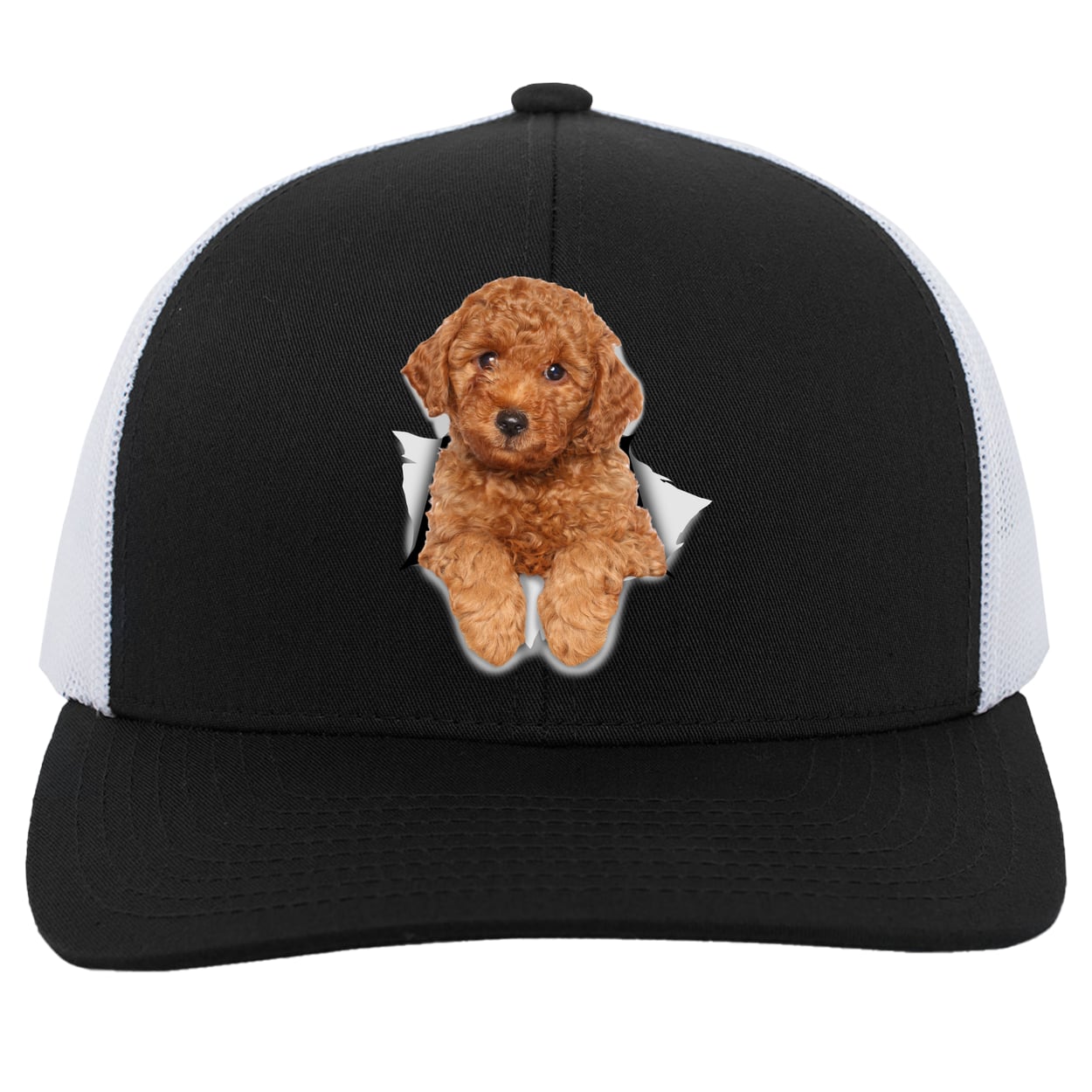 104C Trucker Snap Back - Black/White