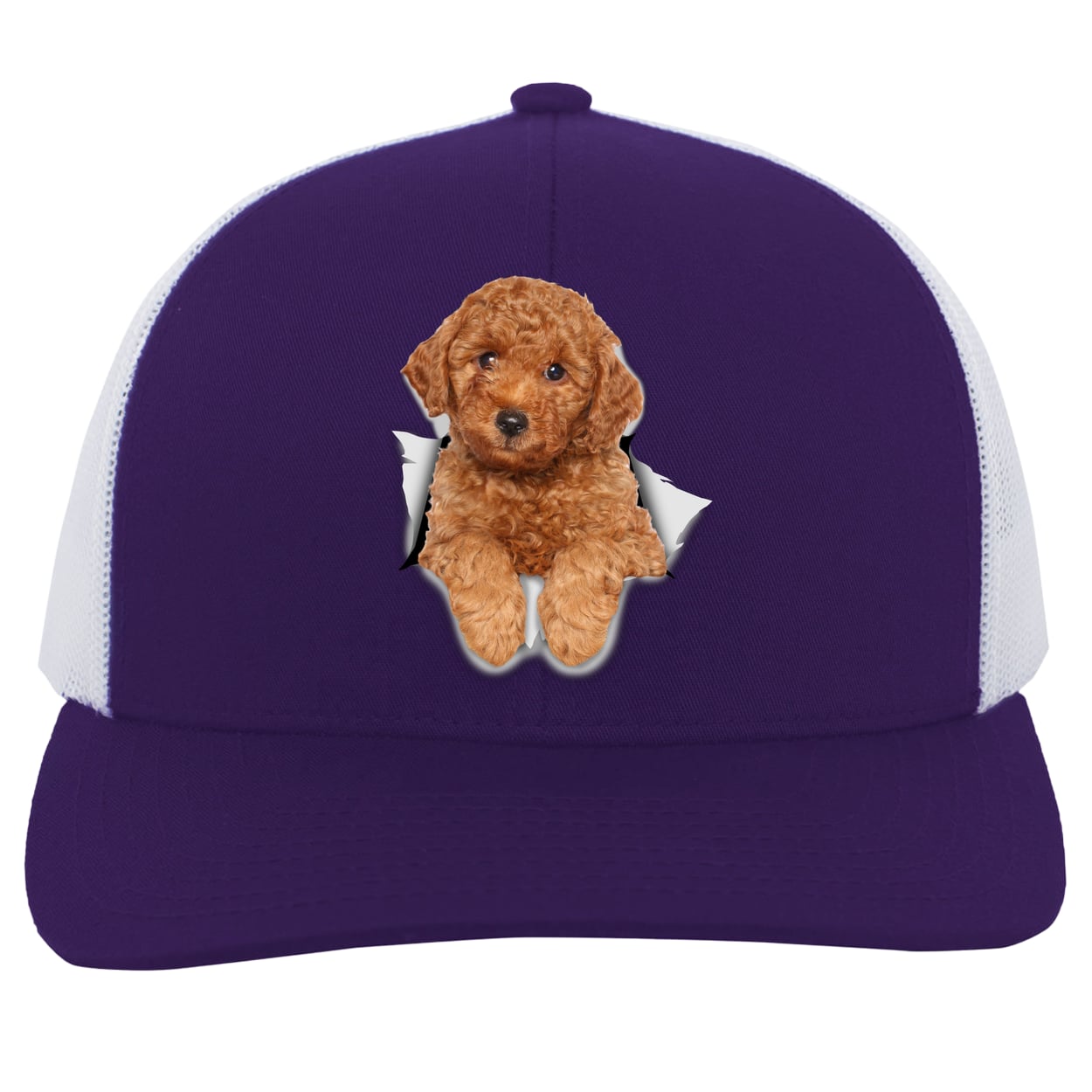 104C Trucker Snap Back - Purple/White