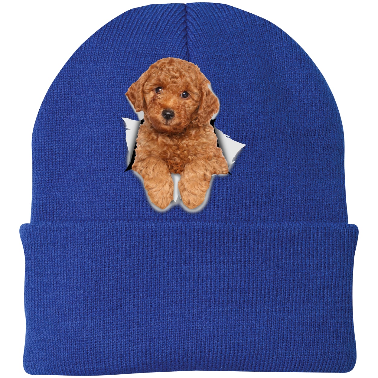 CP90 Port & Company Knit Beanie - Athletic Royal
